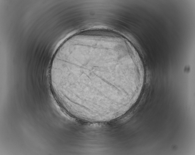 X0000113990806200911131116