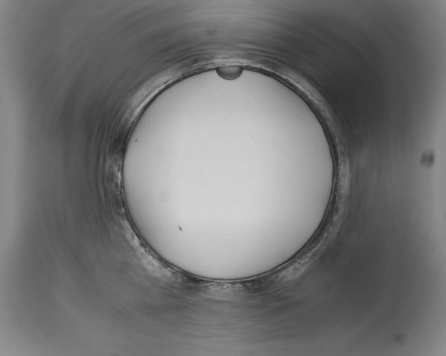 X0000113990809200911131116