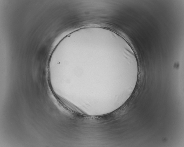 X0000113990811200911131116