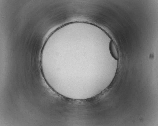 X0000113990815200911131116