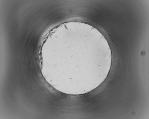 X0000113990816200911131116