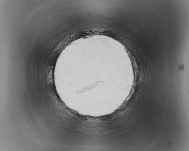 X0000113990818200911131115