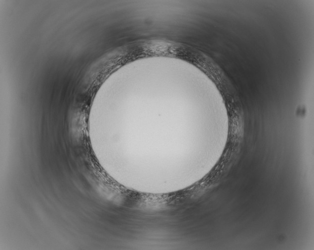 X0000113990820200911131116