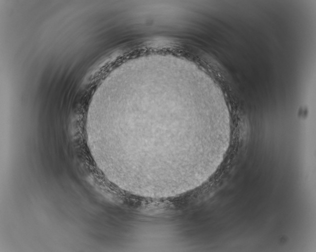 X0000113990824200911131116