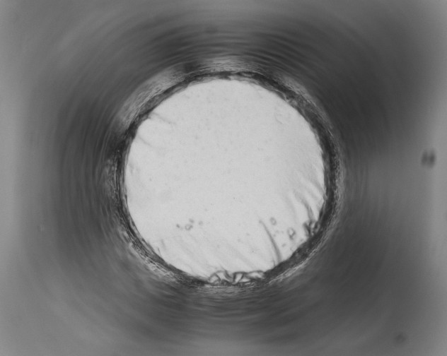 X0000113990825200911131116