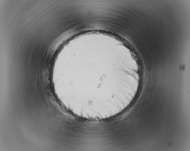 X0000113990826200911131116