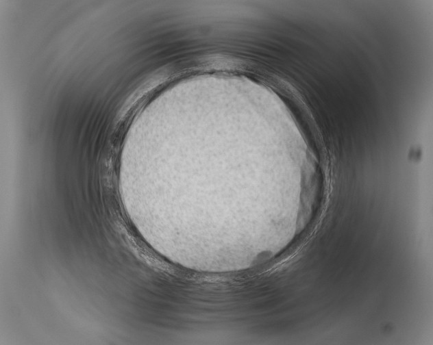 X0000113990827200911131116