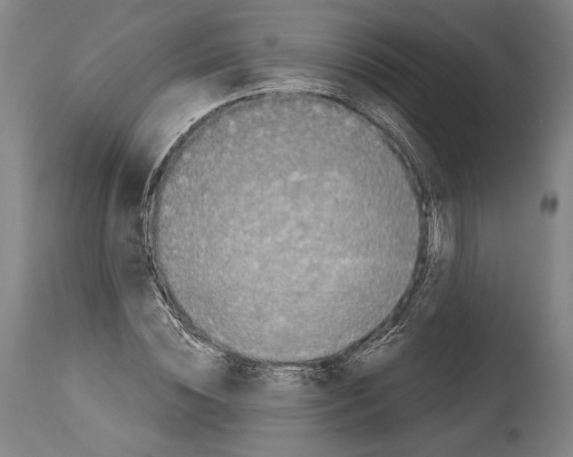 X0000113990828200911131116