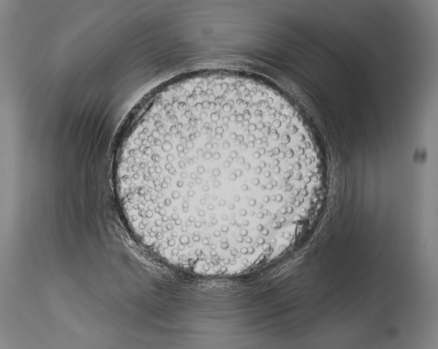 X0000113990830200911131116