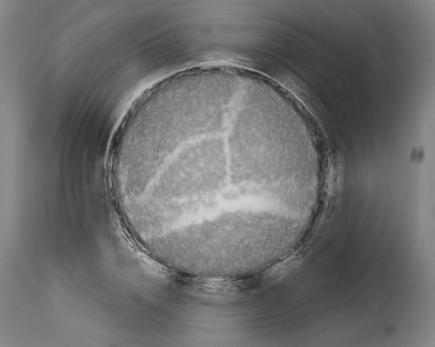 X0000113990832200911131116