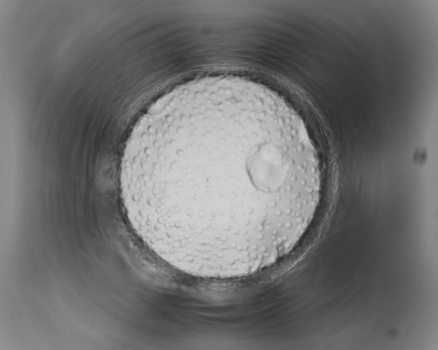 X0000113990833200911131116