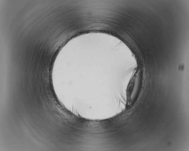 X0000113990834200911131116