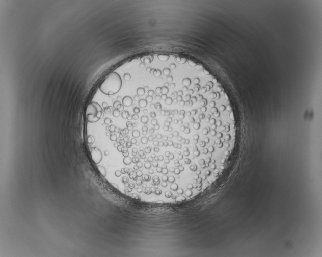 X0000113990838200911131116