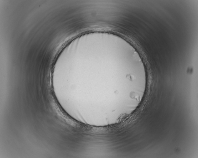 X0000113990840200911131116