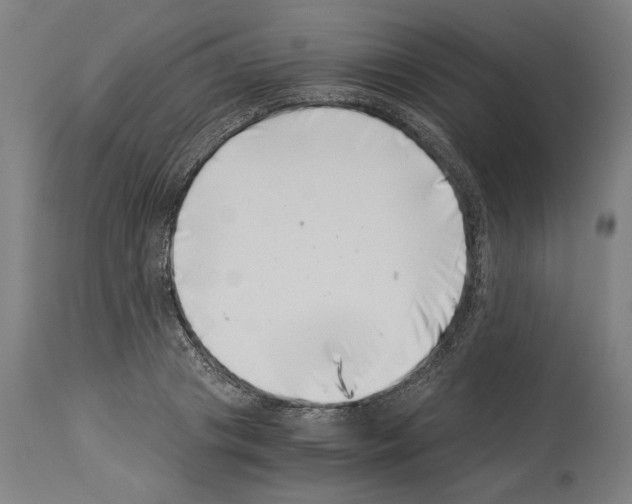 X0000113990841200911131116