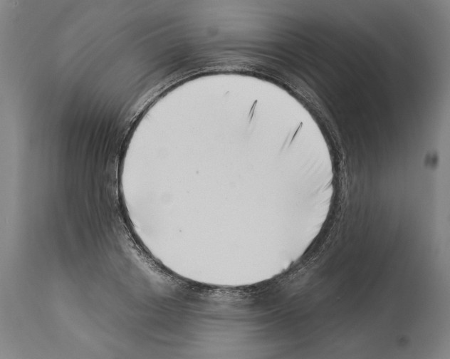 X0000113990842200911131116