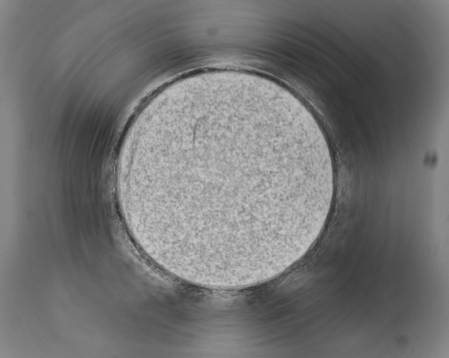 X0000113990848200911131116