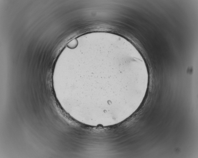 X0000113990850200911131116