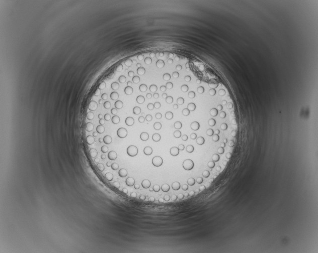 X0000113990851200911131116