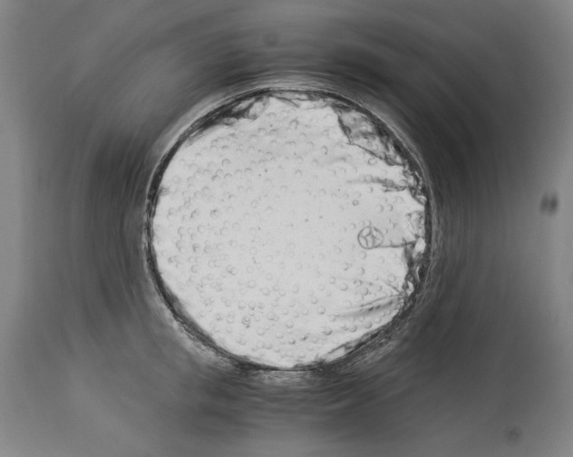 X0000113990853200911131116