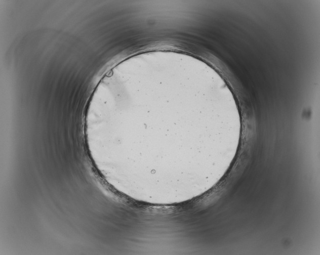 X0000113990858200911131116