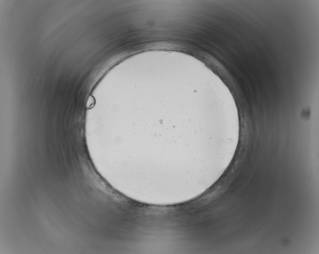 X0000113990860200911131116