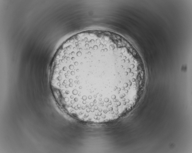 X0000113990862200911131116