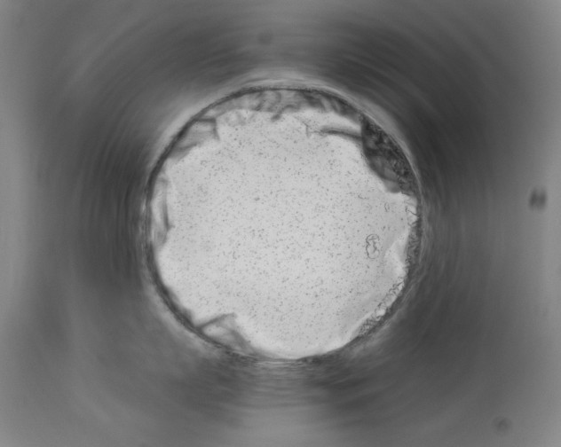 X0000113990863200911131116