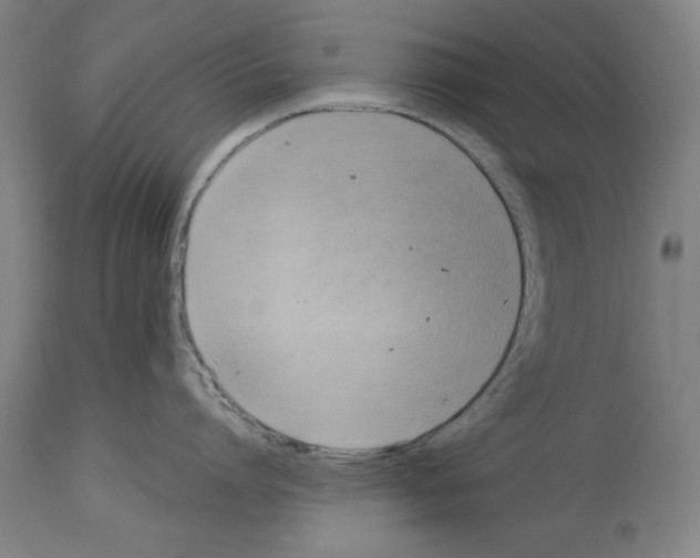 X0000113990864200911131116