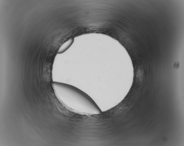 X0000113990868200911131115