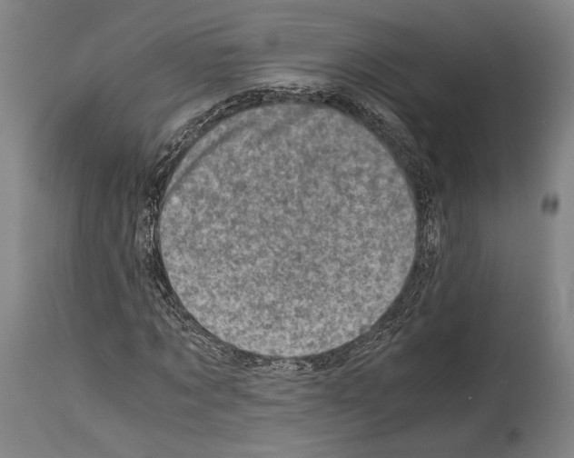 X0000113990869200911131115