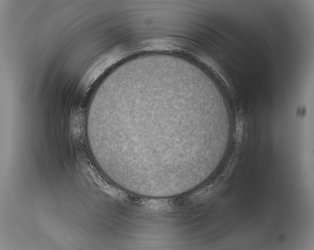 X0000113990874200911131115