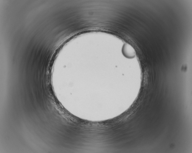 X0000113990876200911131115