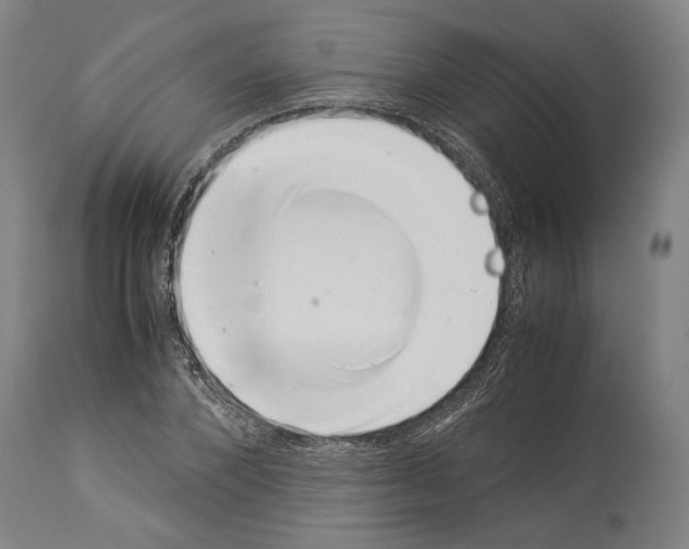 X0000113990880200911131115