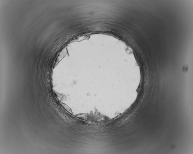 X0000113990881200911131115