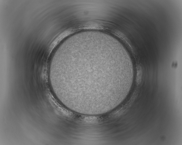 X0000113990882200911131115