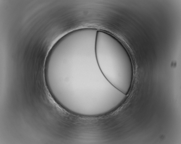 X0000113990888200911131115