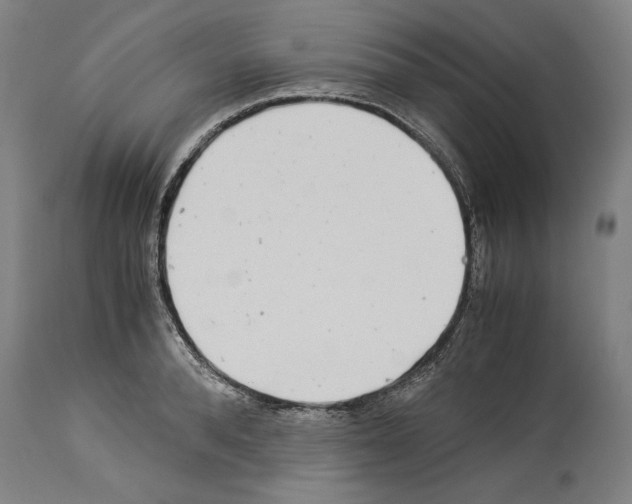 X0000113990896200911131115