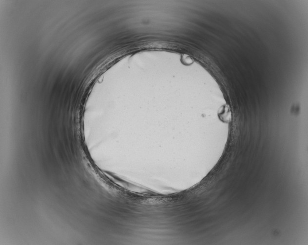 X0000113990898200911131115