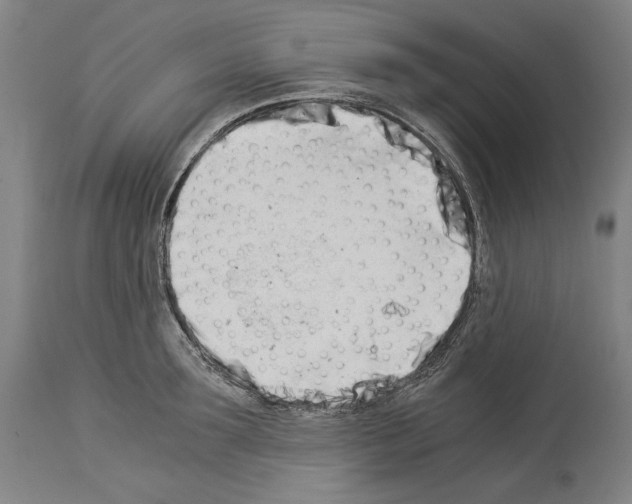 X0000113990899200911131115