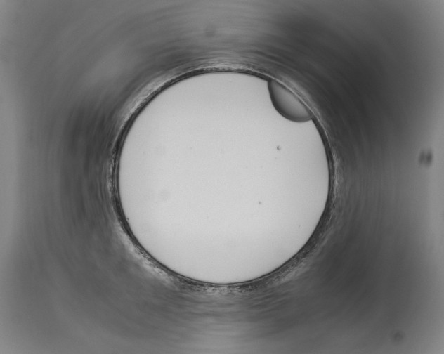 X0000113990901200911131115