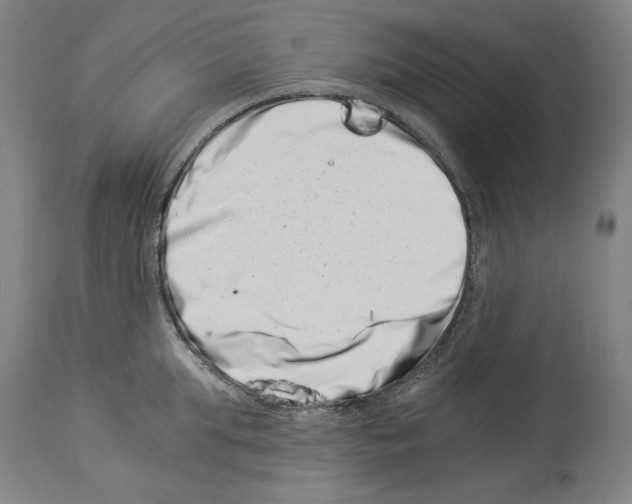 X0000113990903200911131115