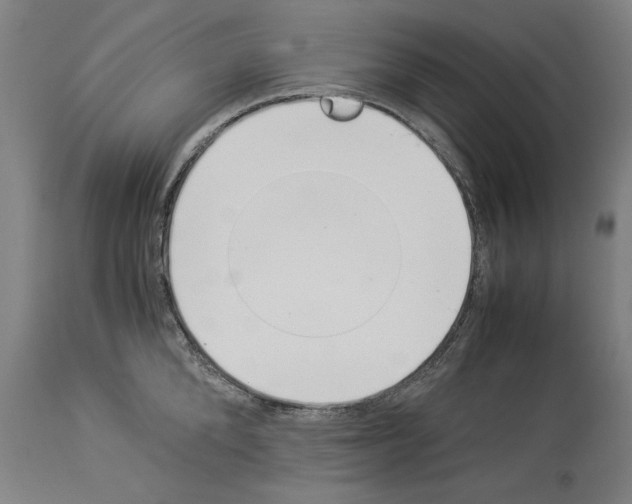 X0000113990904200911131115