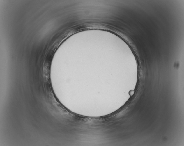 X0000113990905200911131115