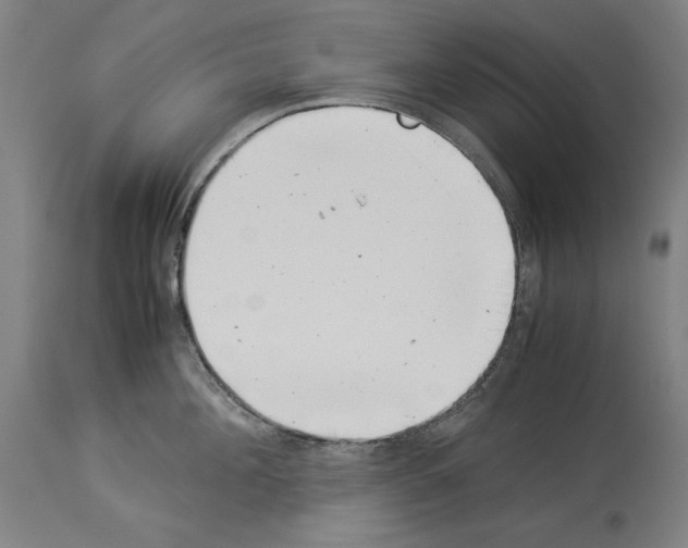 X0000113990908200911131115