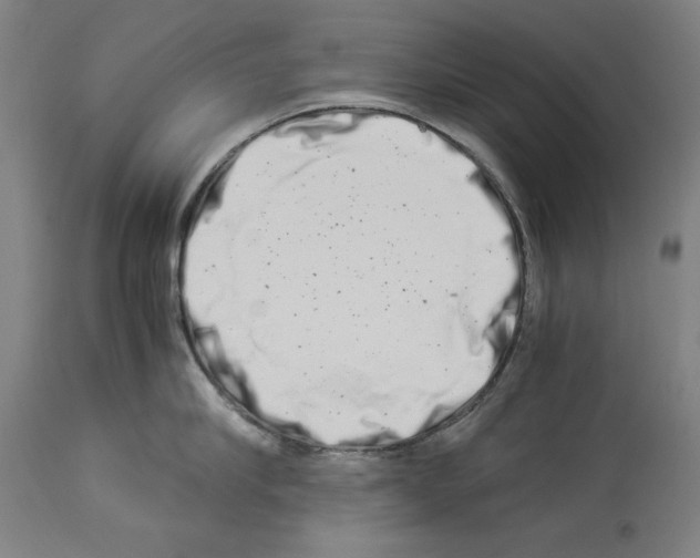 X0000113990910200911131115