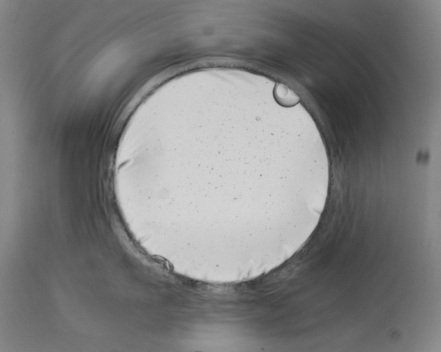 X0000113990911200911131115