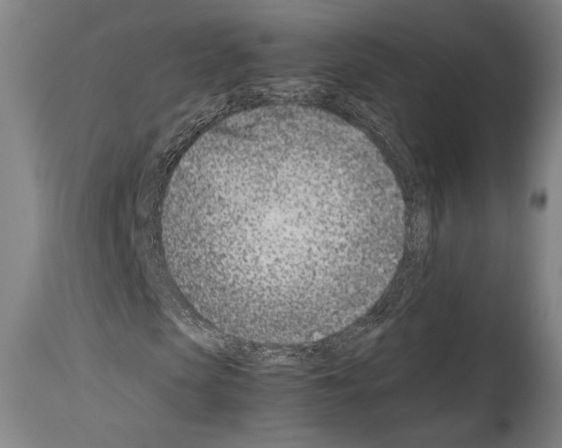 X0000113990913200911131114