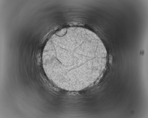 X0000113990915200911131114