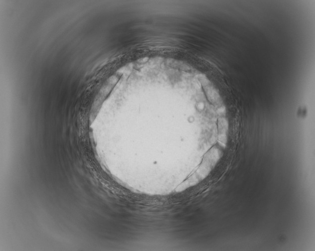 X0000113990917200911131114